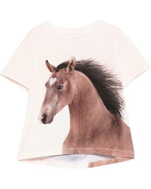 Molo "Rie" Short Sleeves T-Shirt - Pink
