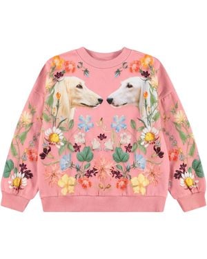Molo Sweatshirt Afghan Hounds - Pink