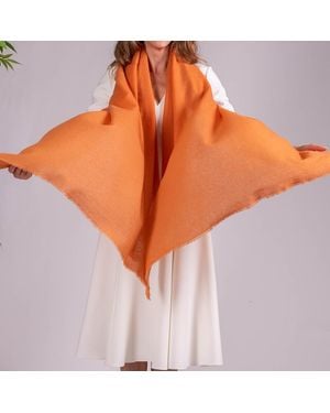 Black Accessories Apricot Gossamer Cashmere Shawl - Orange