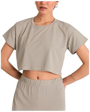 Arid Blayne Crop Tee - Gray