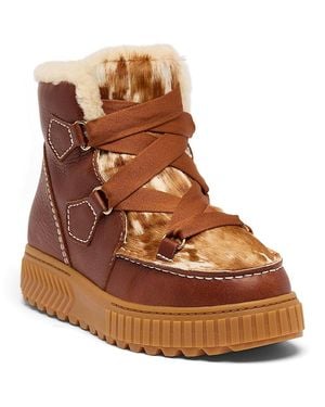 Sorel X Aspen Ona Ave Alpine Lux Boots - Brown