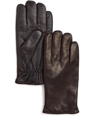 Bloomingdale's The Store - Brown