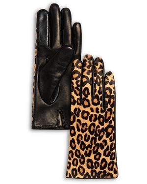 Bloomingdale's Cashmere Lined Animal Print Calf Hair Tech Gloves - Black