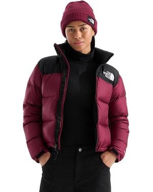 The North Face 1996 Retro Nuptse Jacket - Red