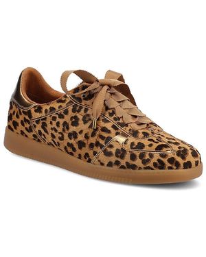 Birdies The Jay Sneaker - Brown
