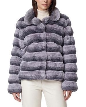 Lyla Grant Faux Fur Chinchilla Jacket - Gray