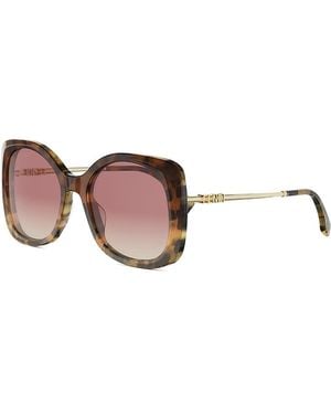 Fendi Graphy Cat Eye Sunglasses, 55Mm - Brown