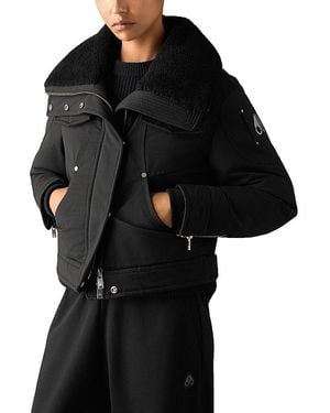 Moose Knuckles Aurora Cotton Blend Down Trucker Jacket - Black