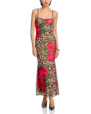 Aqua Leopard And Floral Mesh Maxi Dress - Red