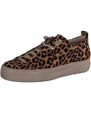 Paul Green Zena Sneakers - Brown