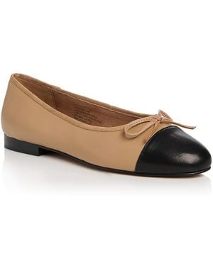 Steve Madden Kit Bow Cap Toe Ballet Flats - Brown