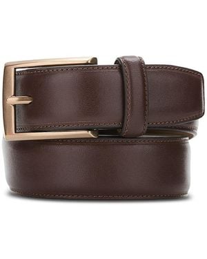 Bloomingdale's The Store - Brown