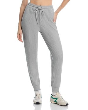Aqua Brushed Rib Sweatpants - Gray
