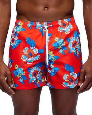 Sundek boardshorts sale top