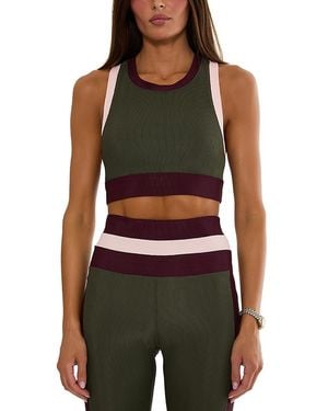 Beach Riot Gwen Color Blocked Cropped Top - Brown