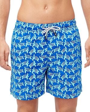 Tom & Teddy 6 Turtle Swim Shorts - Blue
