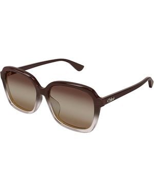 Chloé Square Sunglasses, 59Mm - Brown