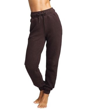NEGATIVE Waffle Knit Jogger - Purple