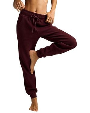 NEGATIVE Waffle Knit Jogger - Purple
