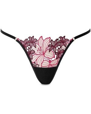 Bluebella Calantha Floral Embroidered Brief