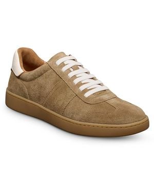Allen Edmonds Ludlow Stretch Lace Slip On Sneakers - Brown