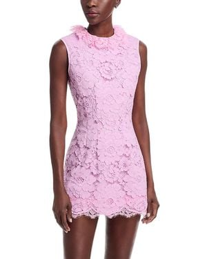 Patou Sleeveless Lace Mini Dress - Pink