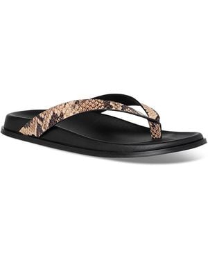PAIGE Zadie Flat Sandals - Multicolor