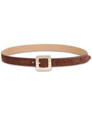 Ettika Timeless Texture Suede Leather Belt - Brown