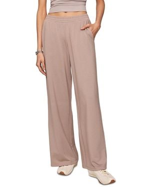 Z Supply Transit Straight Leg Pants - Multicolor