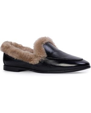 Black Suede Studio Classic Shearling & Wool Lined Loafers - Multicolor
