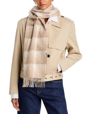 Amicale Ombre Plaid Cashmere Scarf - Blue