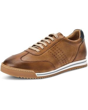 Bruno Magli Brozzi Suede Low Top Sneakers - Brown