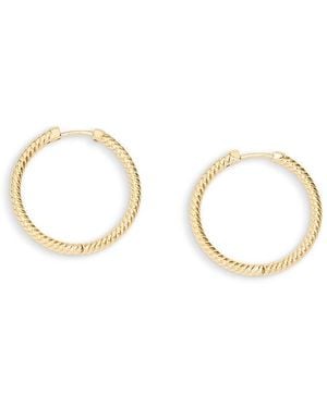 AllSaints Rope Chain Hoop Earrings - Metallic