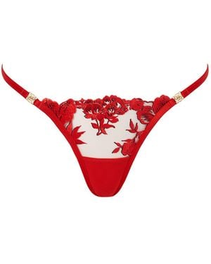 Bluebella Lavanya Floral Embroidered Thong
