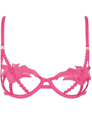 Bluebella Amina Bra Hot - Pink
