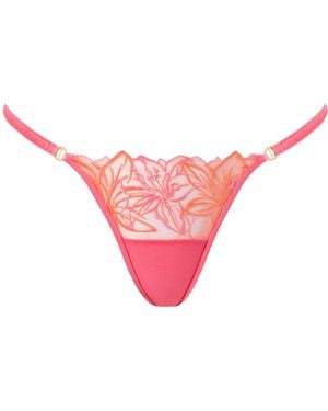 Bluebella Lilly Thong Lemonade - Pink