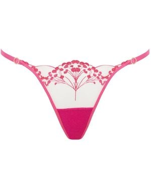 Bluebella Marisa Brief Fuchsia/Sheer - Pink