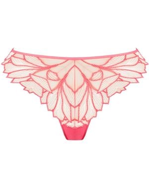 Bluebella Eden Sheer Thong Lemonade - Pink