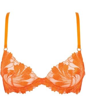 Bluebella Colette Bh Orangenschale