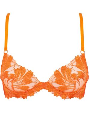 Bluebella Colette Bra Peel - Orange