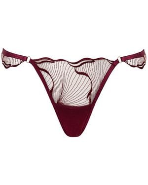 Bluebella Marabel Embroidered Sheer Thong Cherry - Multicolour