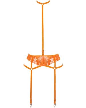 Bluebella Colette Harness Mit Strumpfhalter Orangenschale