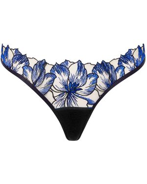 Bluebella Lyandra Thong Egyptian//Sheer - Blue
