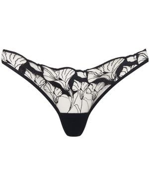 Bluebella Kalmia Thong/Sheer - Multicolour