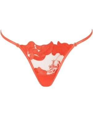 Bluebella Serenity Embroidered Thong Coral