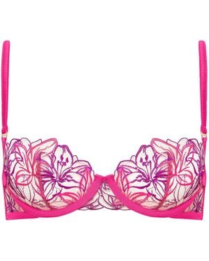 Bluebella Lilly Bra Fuchsia/Bright/Sheer - Pink