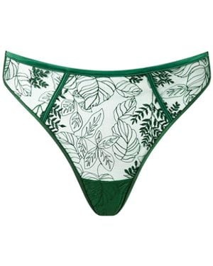 Bluebella Seraphim Embroidered High-Waisted Thong - Green