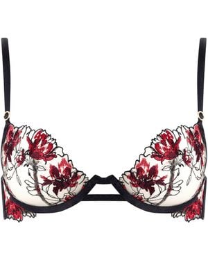 Bluebella Calista Sheer Floral Bra/Cherry - Red