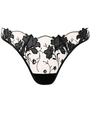 Bluebella Yvette Embroidered Sheer Thong - Black