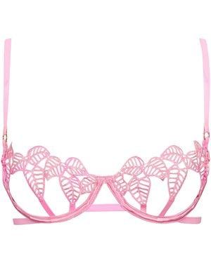 Bluebella Sapphira Bra Begonia - Pink
